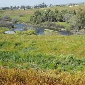 Meet your Posher, Chitto